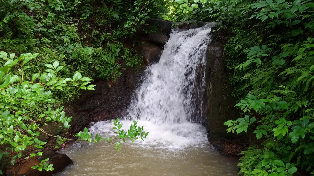 Cherilyn Monta Resort - Ratnagiri Vatul Zewnętrze zdjęcie